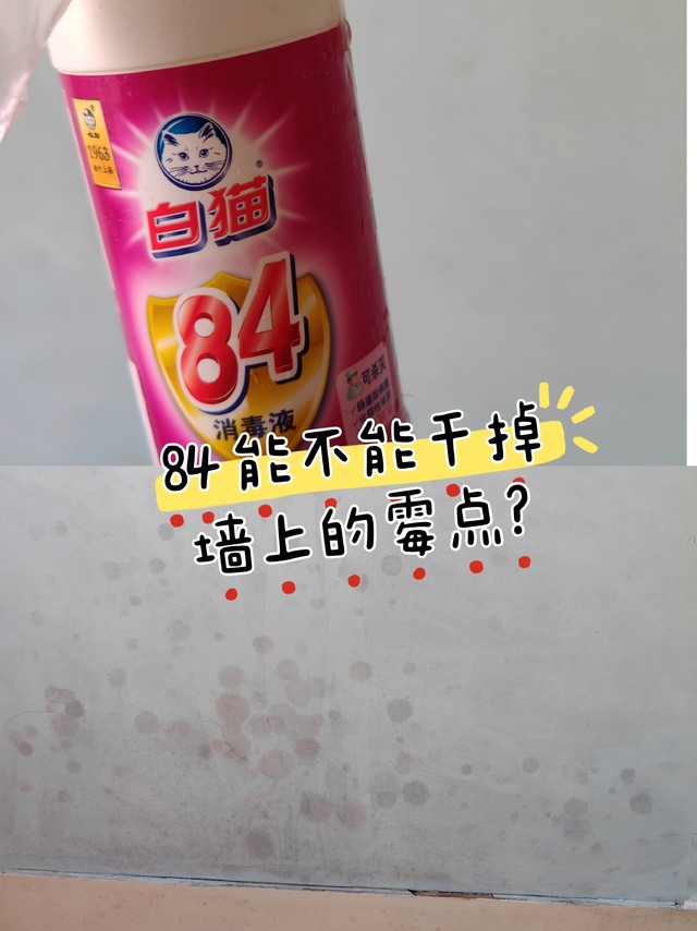 用84挑战墙角霉点，10年+的顽固霉点点，能否被干掉?