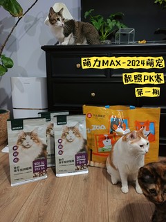 萌力Max首战，咱家猫猫一出手，第一期冲榜成功！