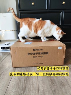 萌力Max首战，咱家猫猫一出手，第一期冲榜成功！