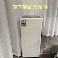 很不错的加湿器—树新风G2