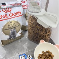 皇家猫粮让小馒头白白胖胖