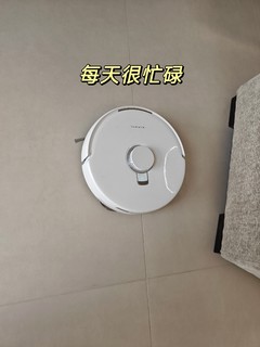 想要解放双手，家里必须有个云鲸