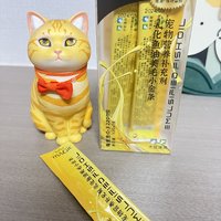 每天来根”小金条”猫咪开心一整天