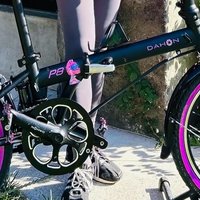 大行（DAHON）折叠自行车20寸8速折叠车P8青春版KAC081感受非凡