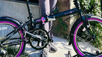 大行（DAHON）折叠自行车20寸8速折叠车P8青春版KAC081感受非凡