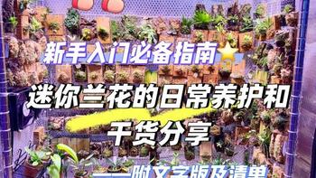 精选内容集|兰花养护 从湿度光照到施肥温度的全方位技巧