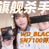 西部数据WD_BLACK SN7100固态硬盘评测