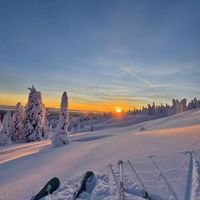 冬季滑雪，这些地方别错过！