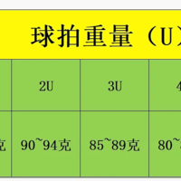 新手羽毛球拍选购指南：重量、手柄、中杆全解析