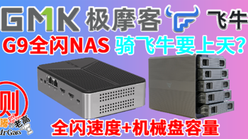 骑上飞牛要上天？极摩客G9 N150全闪NAS/迷你电脑深度全面测试