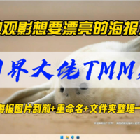 观影想要漂亮的海报墙？刮削界大佬TMM来了