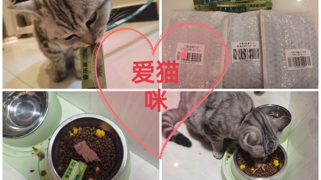 猫咪的年货也要囤起来了啊