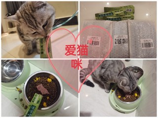 猫咪的年货也要囤起来了啊