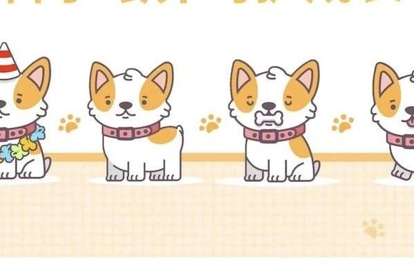 磨牙零食之狗狗篇