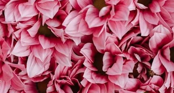 2024年必备美术用品推荐  多款高性价比画材对比