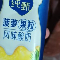 囤蒙牛纯甄菠萝果粒酸奶，开启蛇年美味新篇