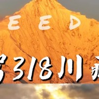 此生必驾318