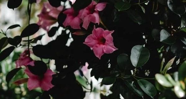 婴儿床床围选购指南：纯棉材质、防撞设计与可拆洗功能解析