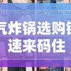 空气炸锅怎么选？空气炸锅选购锦囊独家揭秘，速来码住