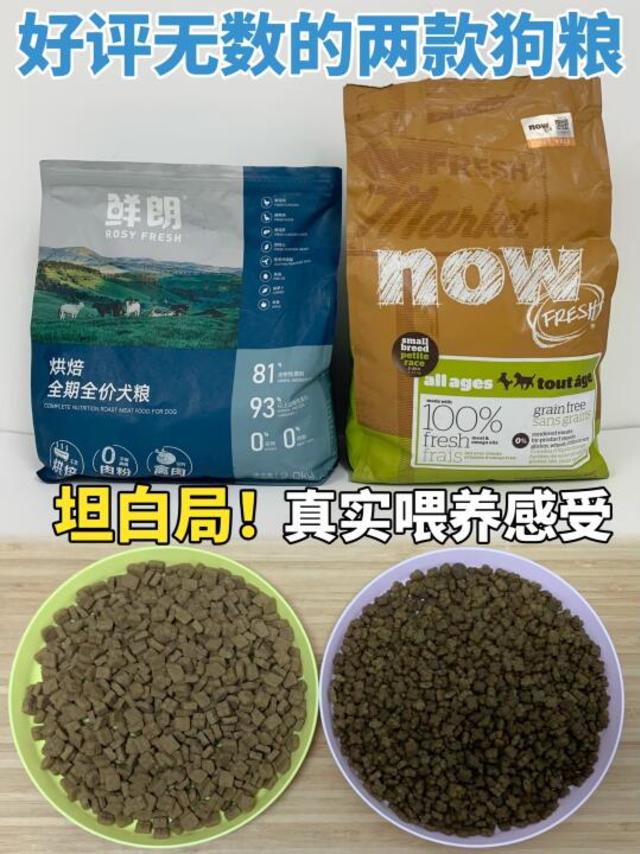 坦白局！关于鲜朗和Now狗粮喂养的真实感受