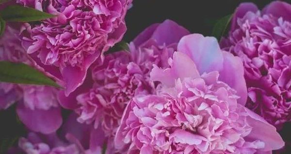 MQD童装新款卫衣来袭，加绒半高领温暖相伴