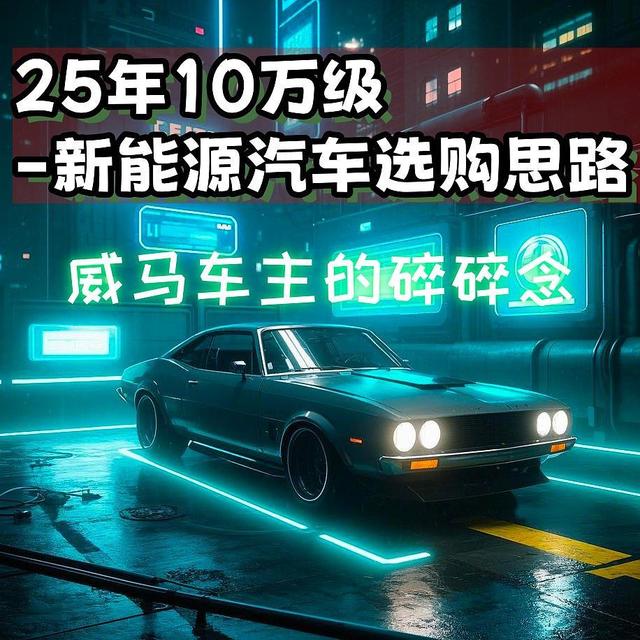 便宜量大管饱才是关键-威马车主的25年10万级新能源汽车选购思路