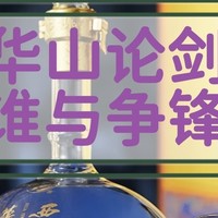 华山论剑20年，孰与争锋！