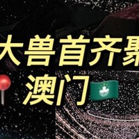 文物虽无声，但历史却震耳欲聋❗️