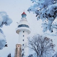 据说烟台的雪很大，春节去烟台游玩攻略