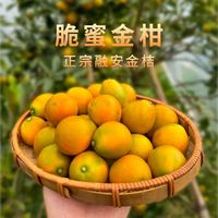 年货水果王炸！脆蜜金桔