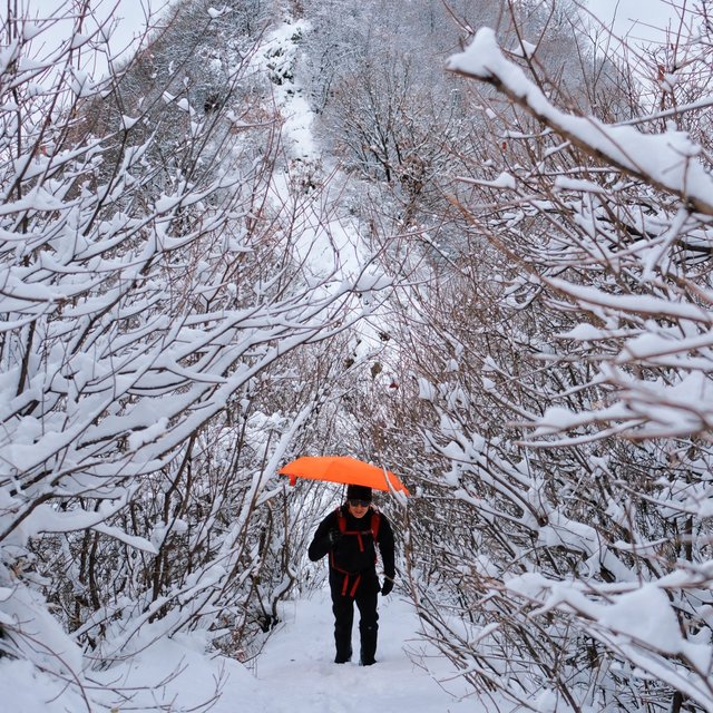 2025年第一场雪，在山顶喝一杯新年祝福