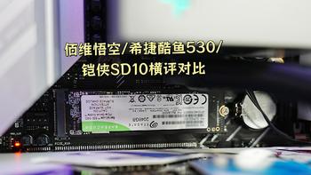 佰维悟空/希捷酷鱼530/铠侠SD10，三款PCIe4.0 2T固态硬盘横评