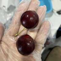 山姆5kg jj 268的车厘子🍒收到了