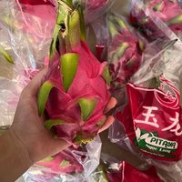 春节有火龙果，生活更红火