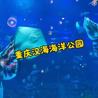 来重庆汉海海洋公园，看海豚过新年！