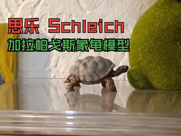 【动物模型】Schleich德国思乐加拉帕戈斯象龟模型分享