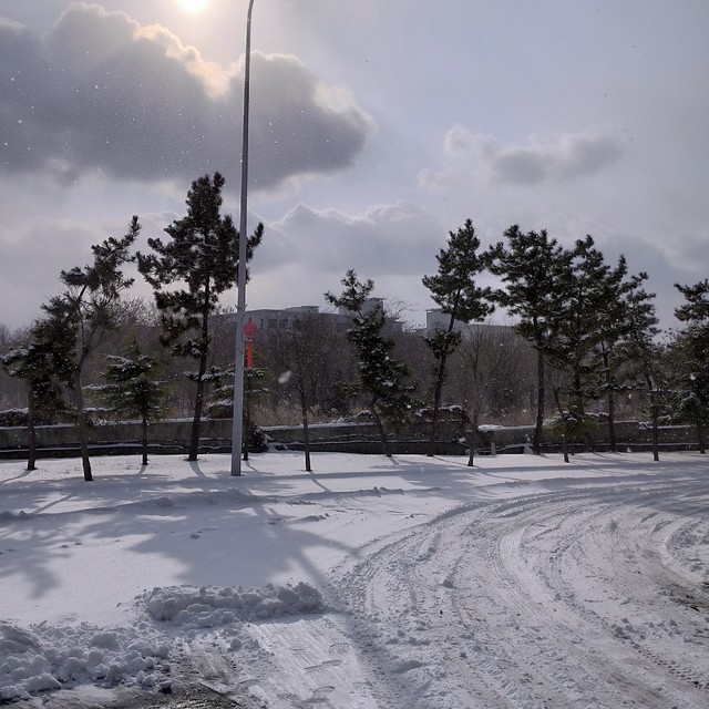 腊月二十八，大雪纷飞，我依旧在上班