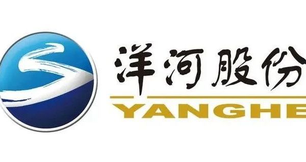 网上没赢过，线下没输过，谁要砸了洋河的饭碗？