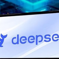 见证国产大模型DeepSeek的崛起