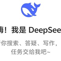 感受 DeepSeek：智能新体验