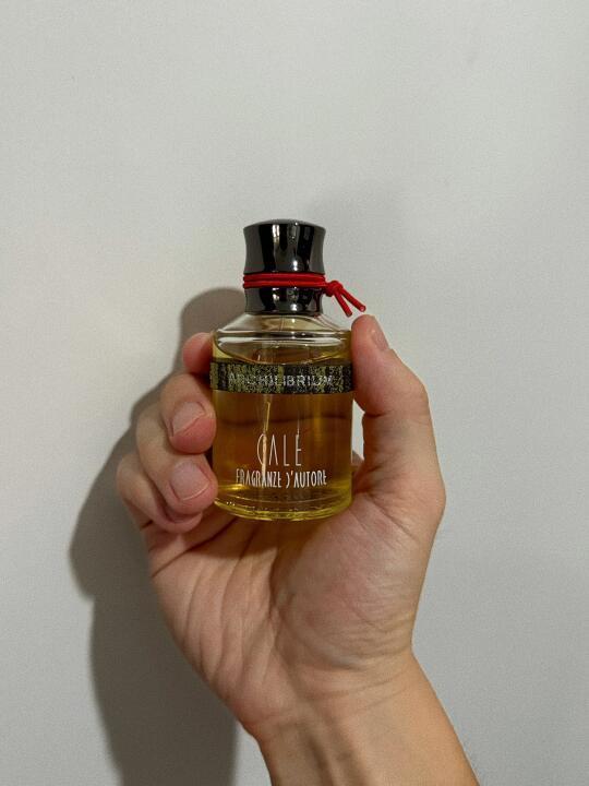 好闻的小众木质调香水选它准没错