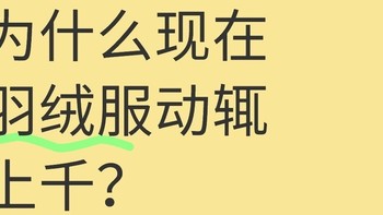 为什么现在羽绒服动辄上千？价格跃升背后的系统性动因分析