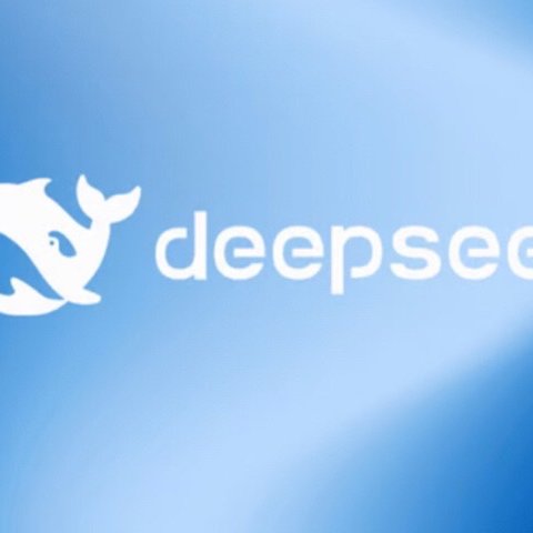 DeepSeek：人工智能领域的东方新星