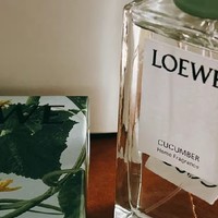 LOEWE罗意威香氛黄瓜家居香水：绿意盎然的小众之选