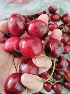 过年吃车厘子🍒，甜到心坎里～