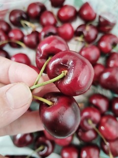 过年吃车厘子🍒，甜到心坎里～