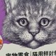 我家猫咪的“舌尖宠儿”，顽皮鸡肉鲜封包