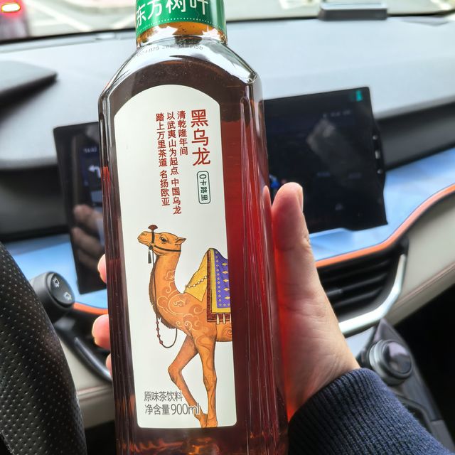 春节自驾返乡 | 堵车不堵心的宝藏攻略🚗✨