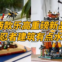 两款乐高重磅新品公布，幻影忍者大建筑太水了？