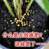 💩这肥施出个“寂寞”😅